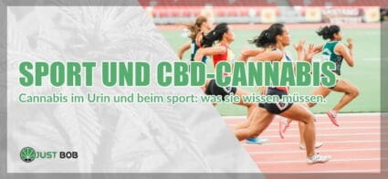 Sport und CBD-Cannabis im Urin