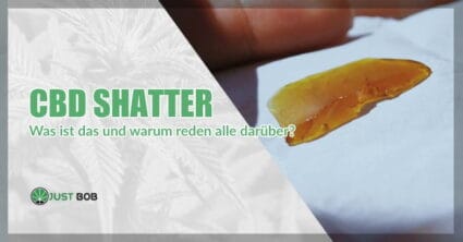 CBD Shatter: Was ist das und warum reden alle darüber?