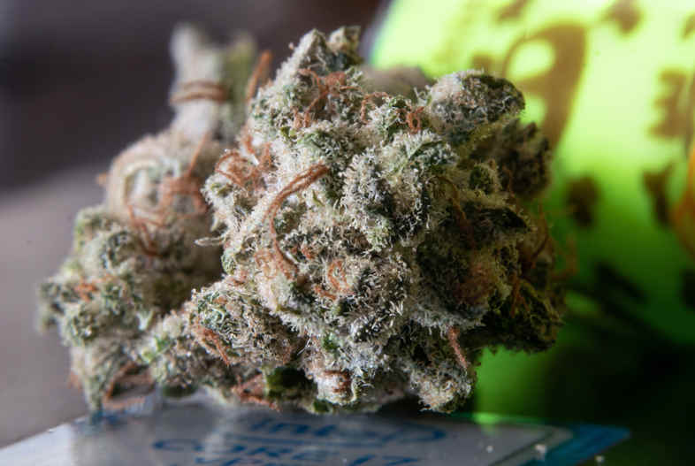 CBD Marihuana California Haze