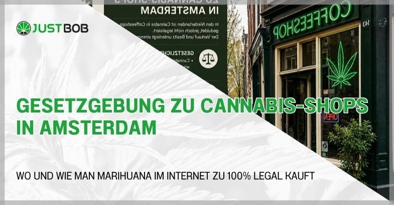 gesetzgebung-zu-cannabis-shops-in-amsterdam Gesetzgebung zu Cannabis-Shops in Amsterdam