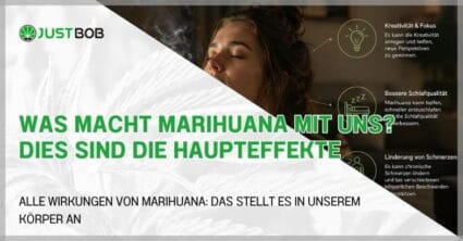 Was macht Marihuana mit uns? Dies sind die Haupteffekte
