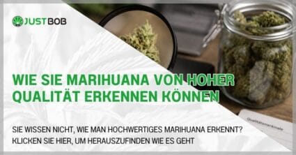 Was macht Marihuana mit uns? Dies sind die Haupteffekte