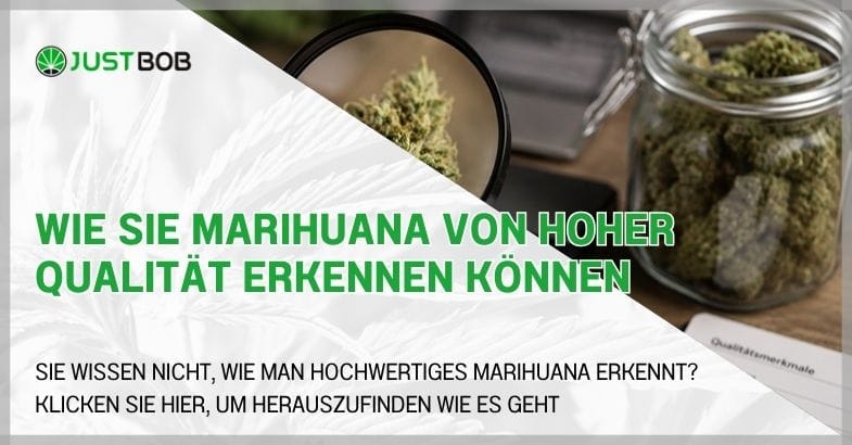 was-macht-marihuana-mit-uns Was macht Marihuana mit uns? Dies sind die Haupteffekte